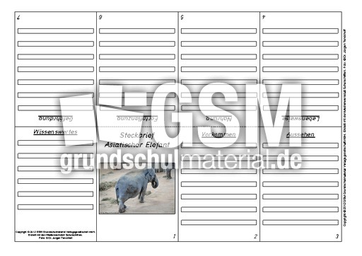 Faltbuch-Steckbrief-Asiatischer-Elefant-1.pdf